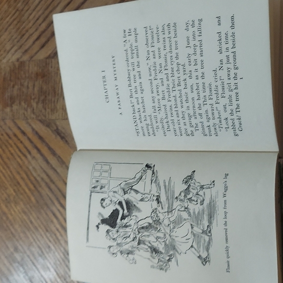 The Bobbsey Twins' Forest Adventure - Picture 9 of 12